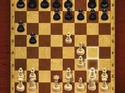 Master Chess Profile Picture