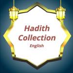 Hadith Collections Profile Picture